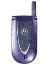 Best available price of Motorola V66i in Malawi